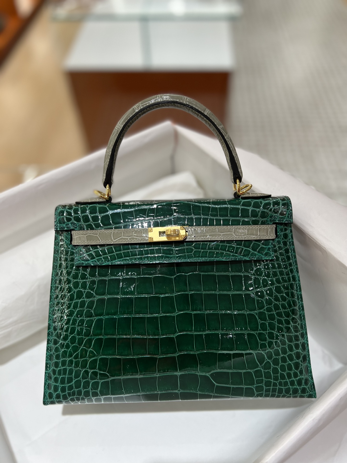 Hermes Kelly 25cm Handbag Shoulder Bag In Vert Emeraude Grey Shiny Crocodile Niloticus Leather